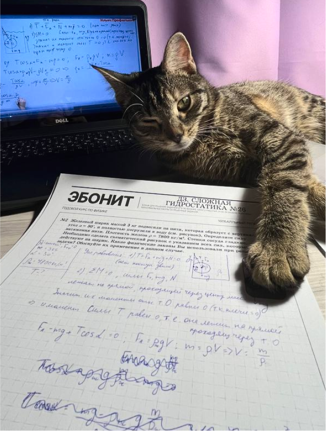 Подготовка к ОГЭ/ЕГЭ в 100балльном