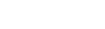 100балльный репетитор