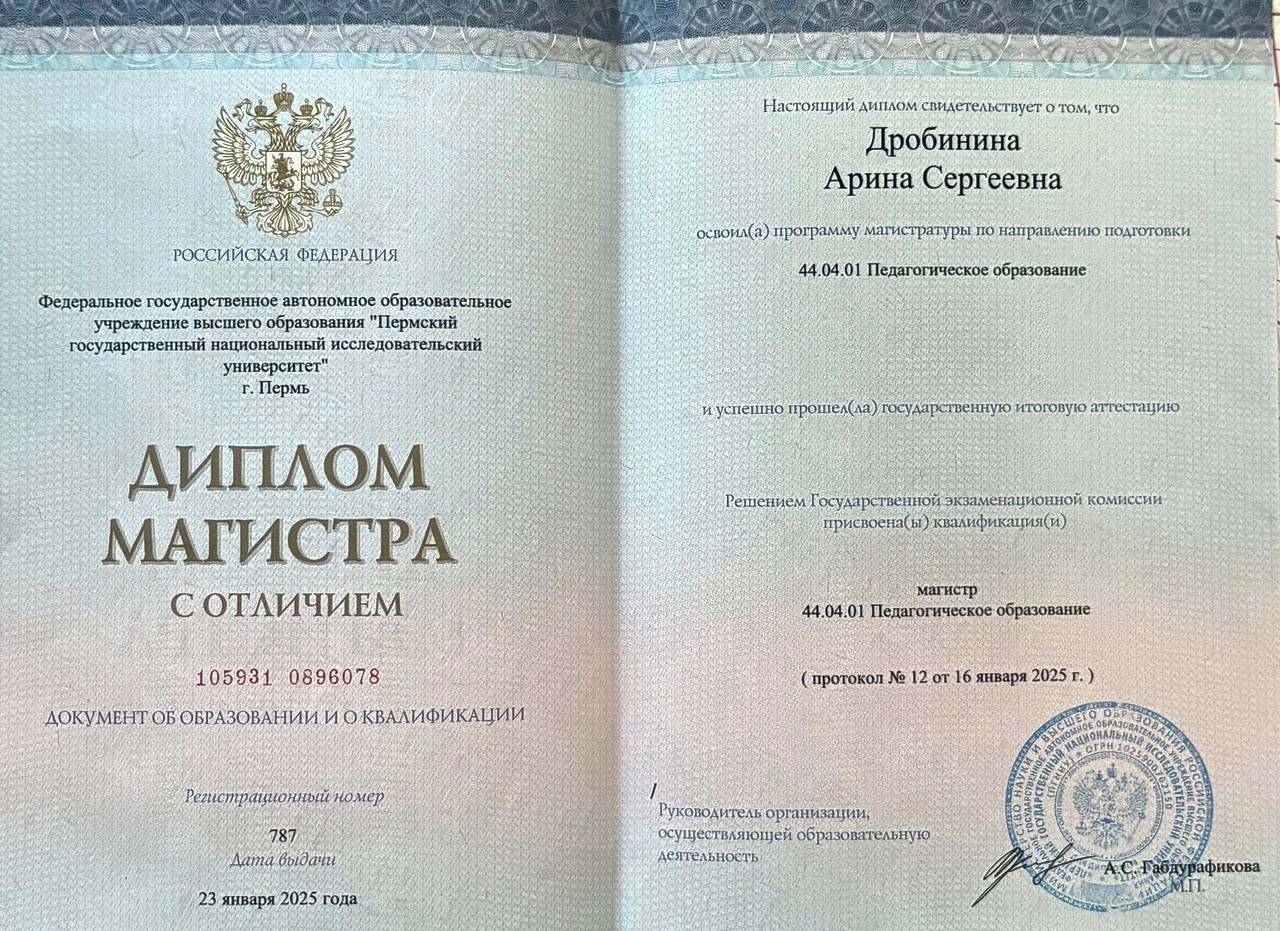 Диплом Казанского федерального университета Арины Дробининой