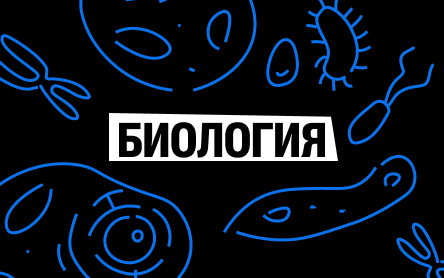 Биология превью