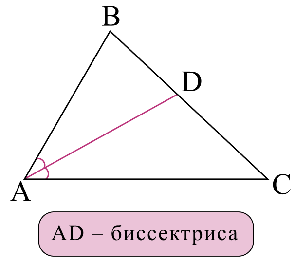 Биссектриса треугольника
