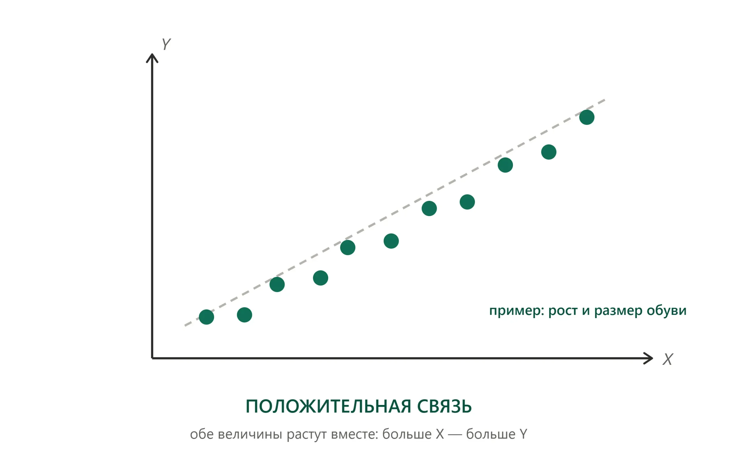 Положительная связь на диаграмме рассеивания: облако точек поднимается слева направо вверх