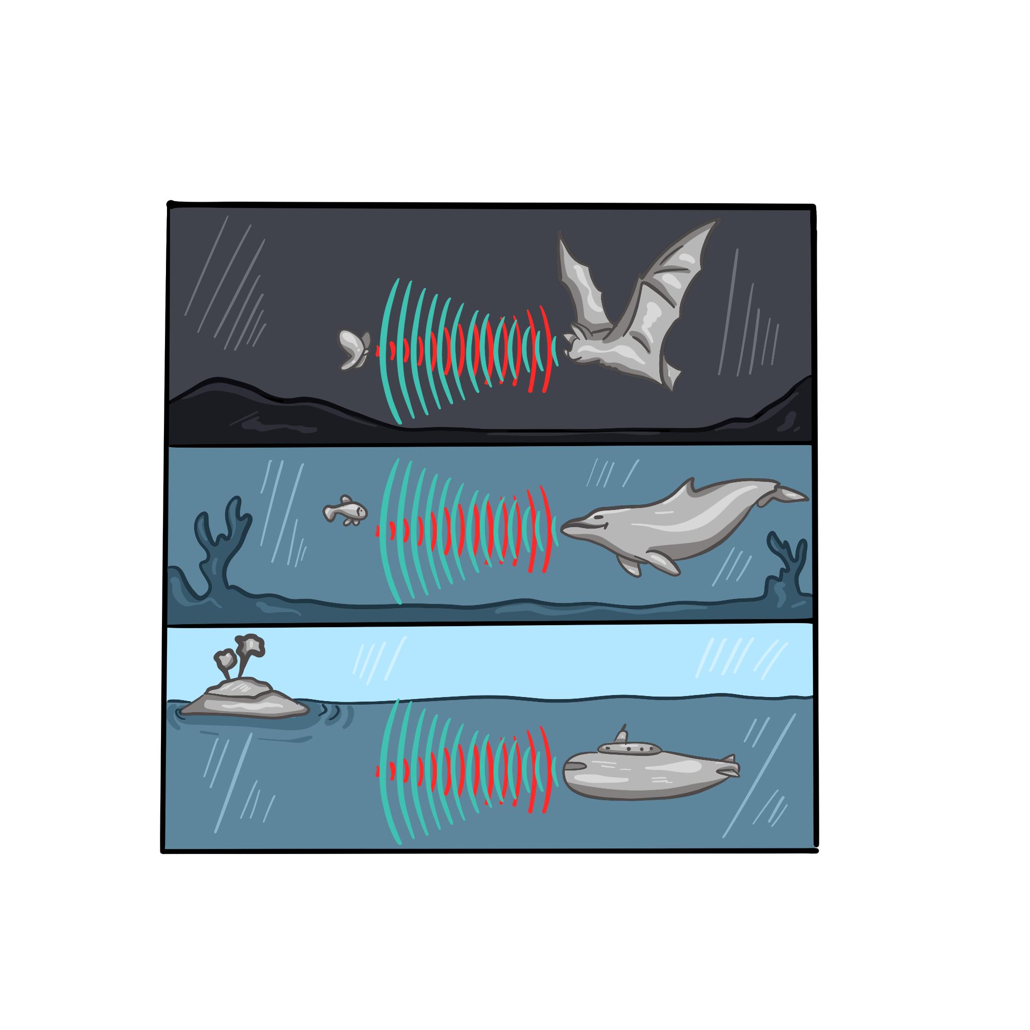 Эхолокация