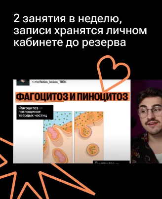 Уроки с Федосом Кокосом