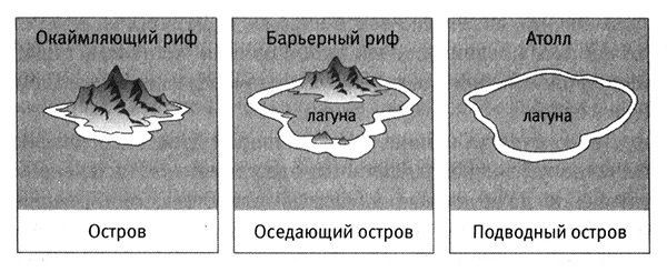 Схема формирования кораллового рифа: береговой риф, барьерный риф и атолл.