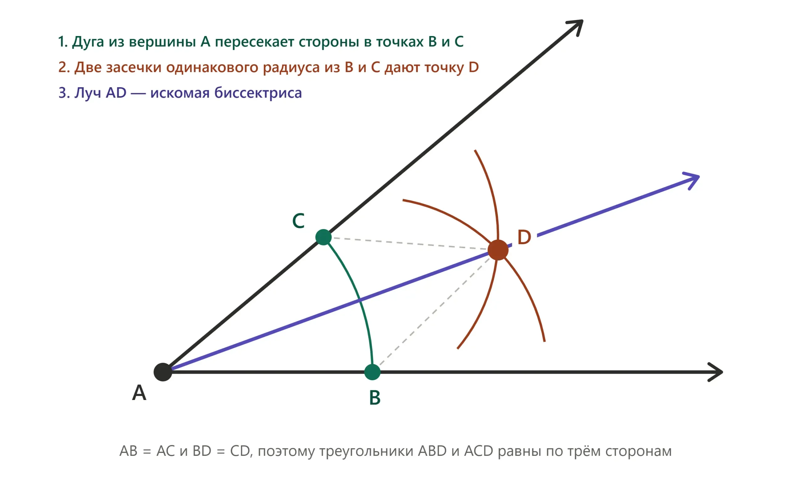 Построение биссектрисы циркулем и линейкой: дуги из точек B и C пересекаются в точке D.
