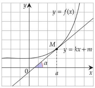 График функции y = f(x)