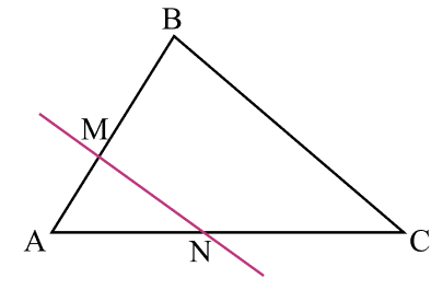 Игнорирование «двустороннего движения» теоремы Фалеса