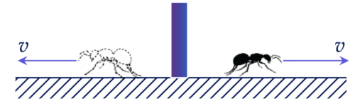 Изображение в плоском зеркале Задание 4