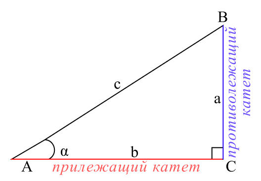 Катеты в прямоугольном треугольнике
