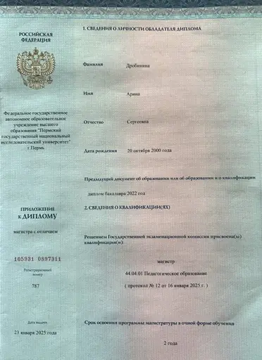 Диплом Казанского федерального университета Арины Дробининой