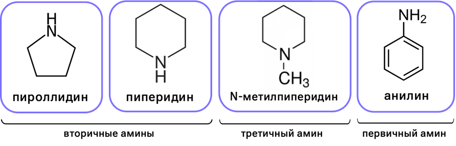 Классификация аминов