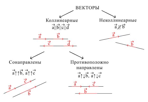 Коллинеарность векторов. Равные векторы. Схема.