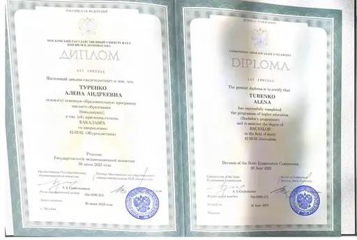 Диплом МГУ Алёны Туренко