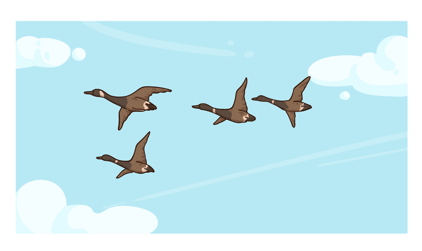 Миграция перелетных птиц