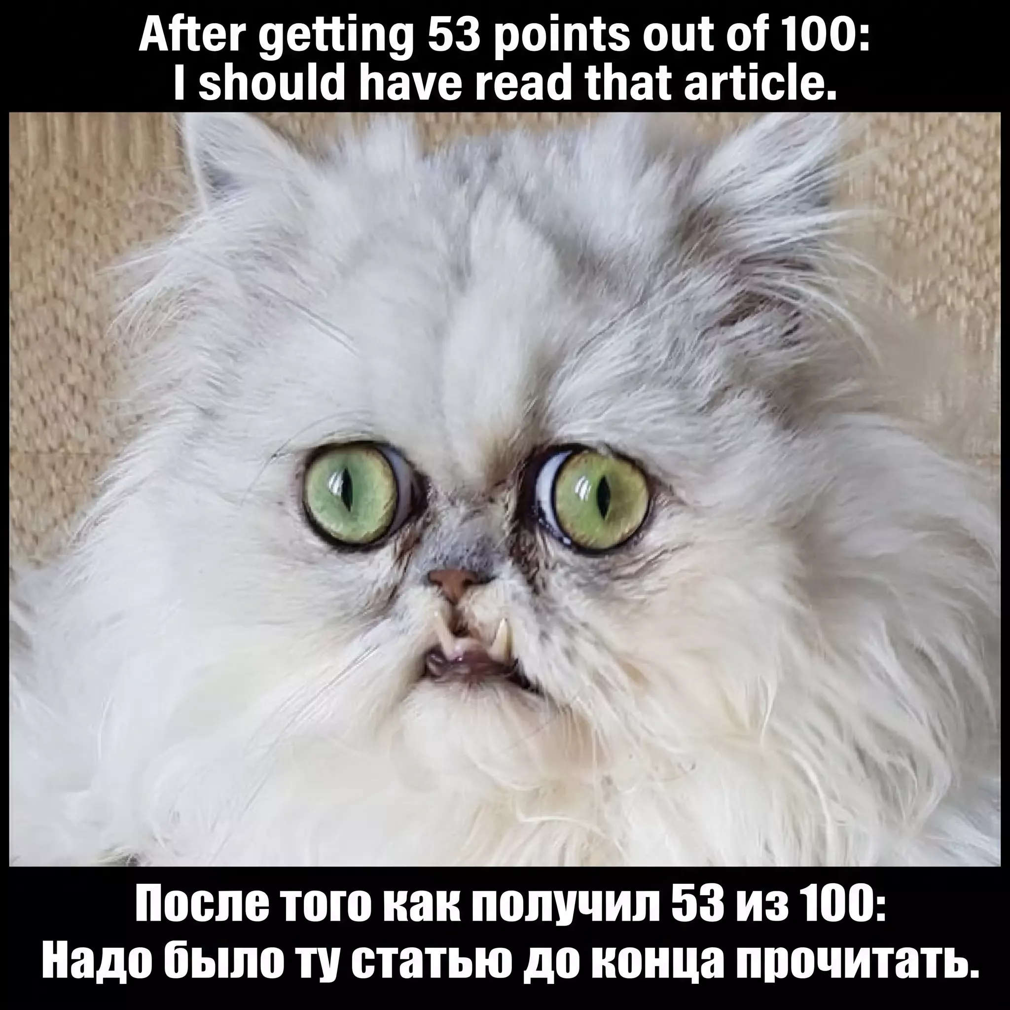 Модальные глаголы с have done помогают получить высокий балл на ЕГЭ по английскому.