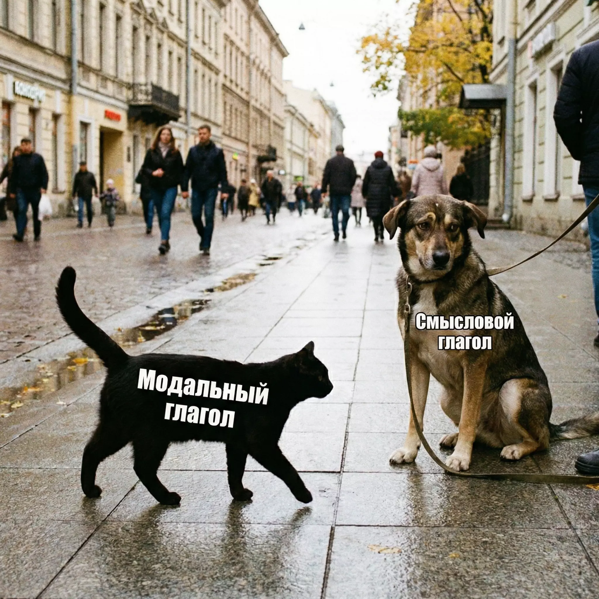 Сравнение показывает: модальный глагол should без do, смысловой глагол требует do.