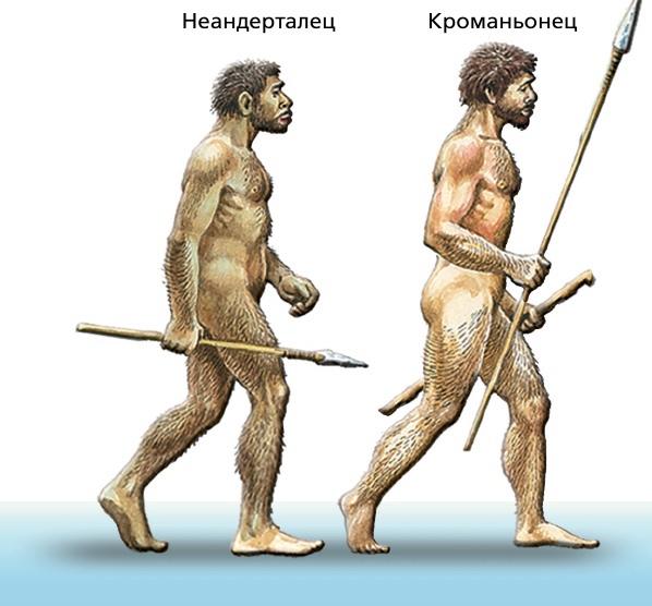Сравнение неандертальцев и кроманьонцев на этапе расселения человека разумного.
