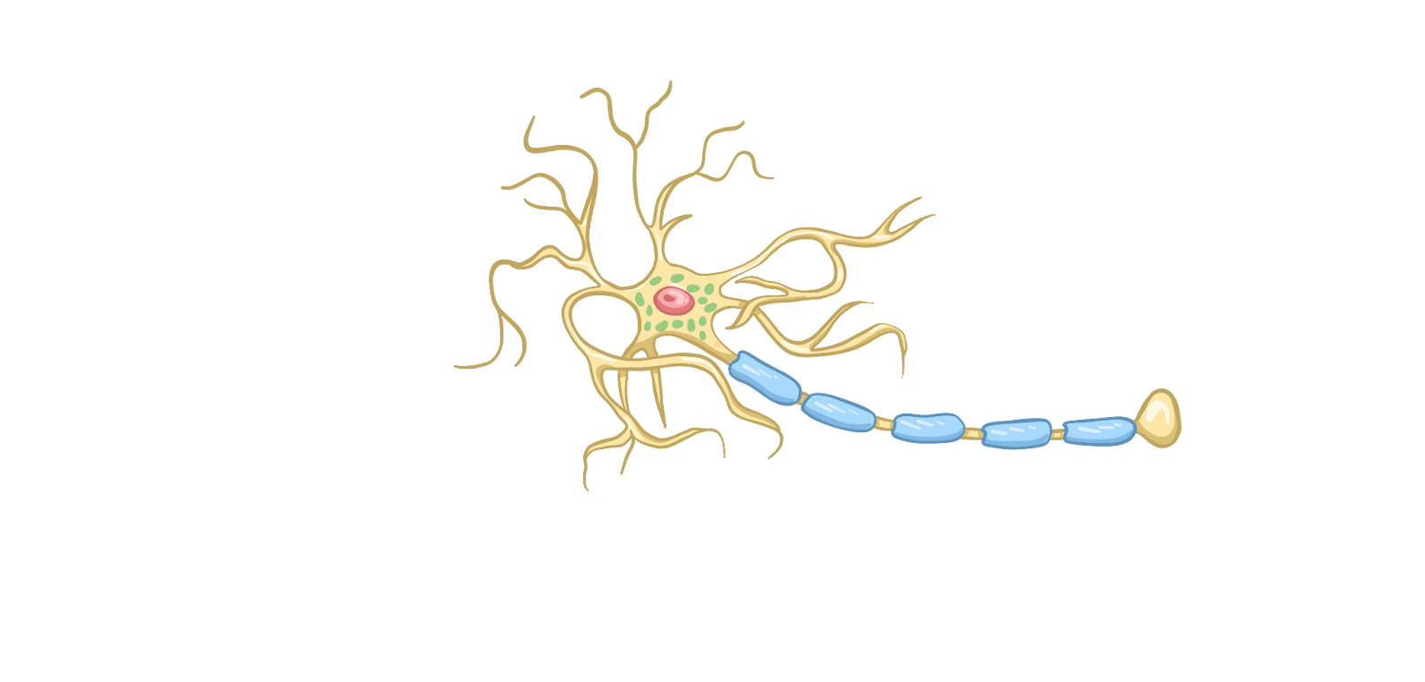 Нервная ткань