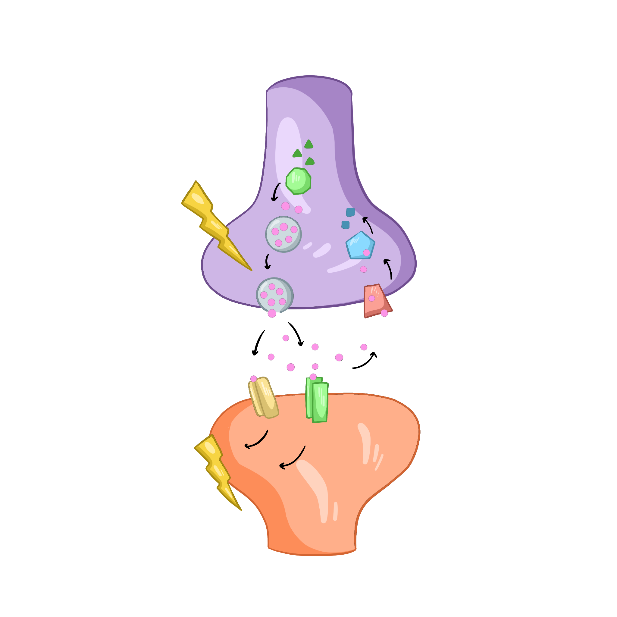 Нервный импульс