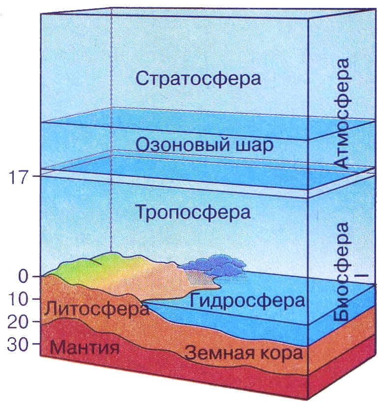 Схема оболочек Земли с границами биосферы в литосфере, гидросфере и атмосфере.