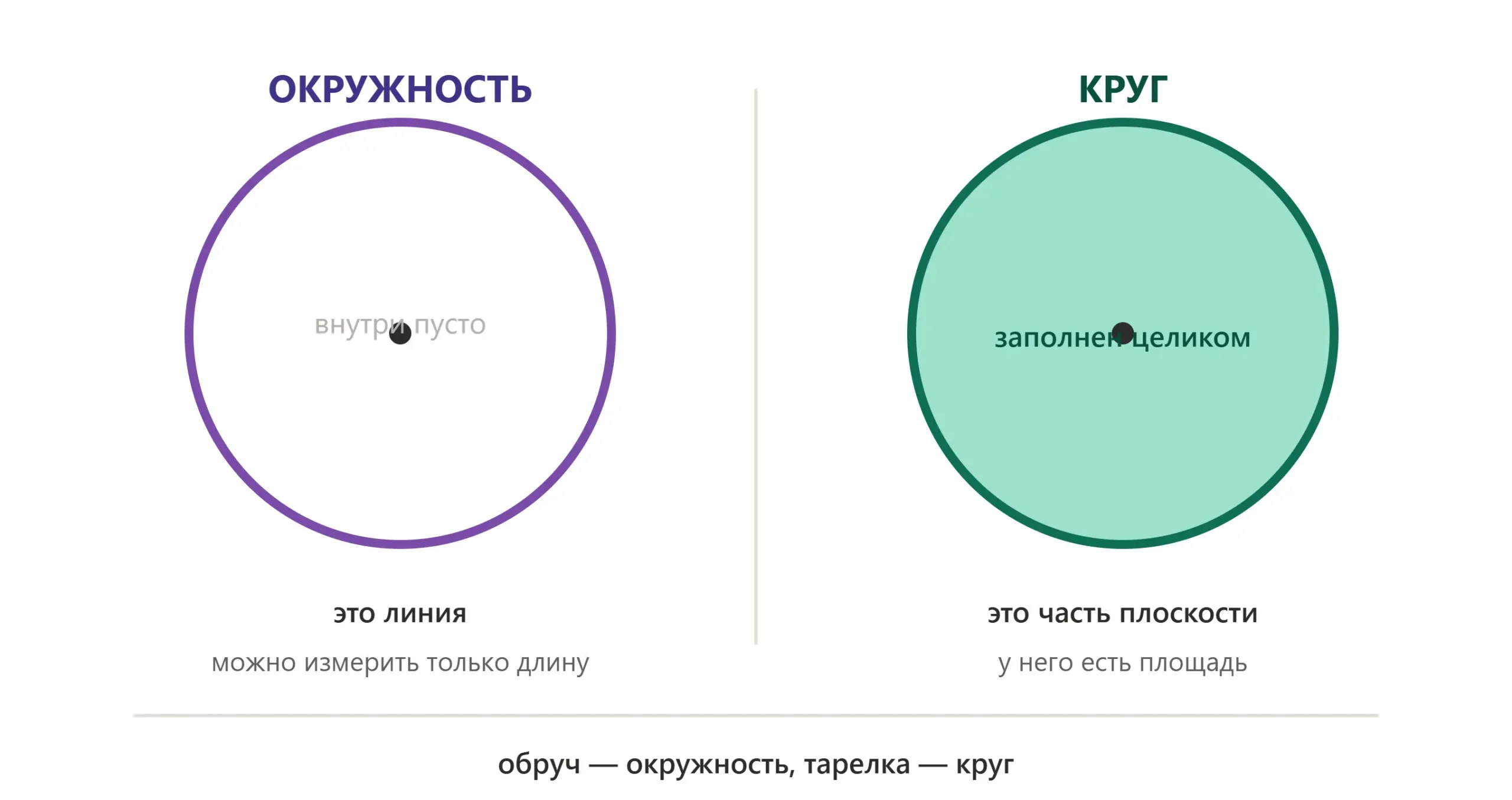 Сравнение фигур: окружность как граница и круг как заполненная область внутри окружности.