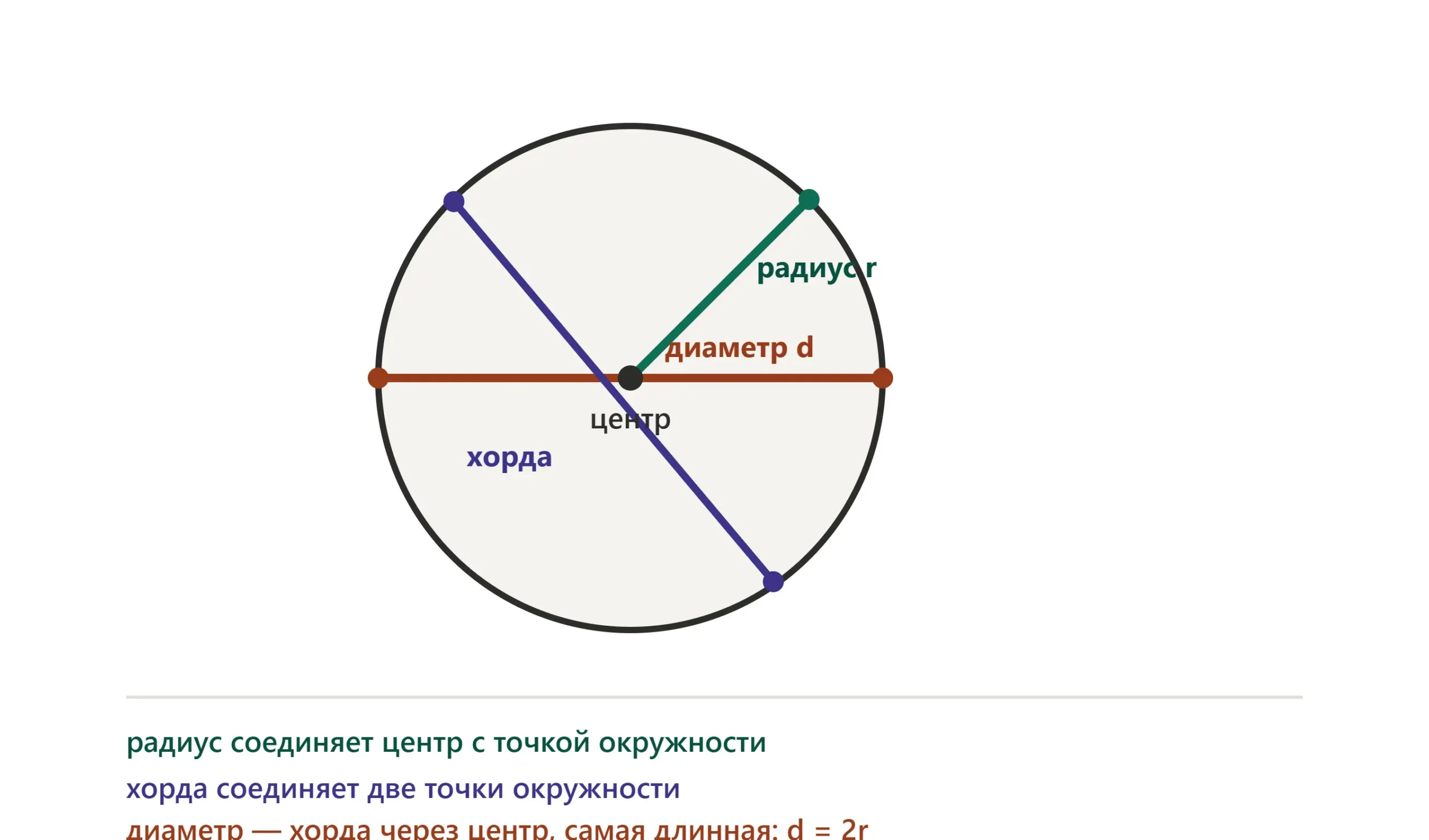 Элементы окружности: радиус, хорда и диаметр, проходящий через центр фигуры.