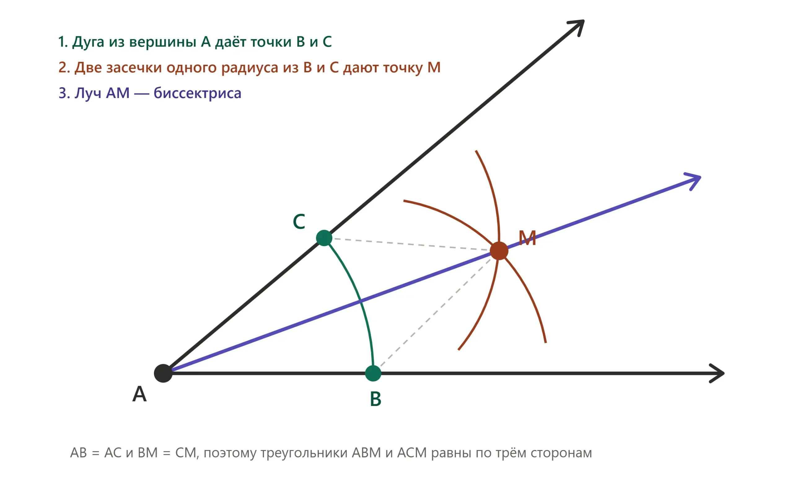 Биссектриса угла A построена дугами из точек B и C циркулем и линейкой.