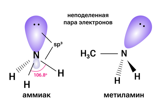Особенности строения аминов