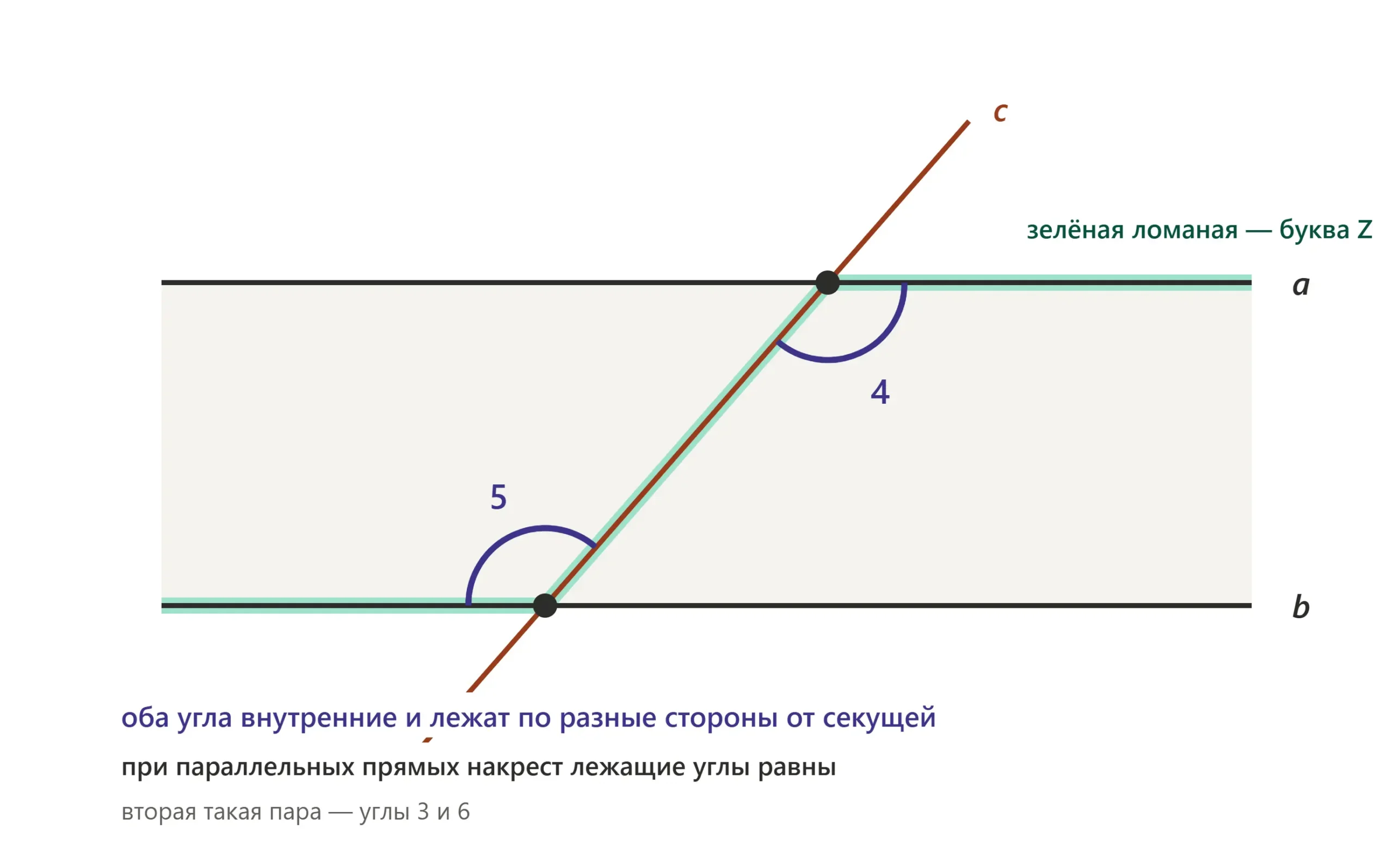 Накрест лежащие углы расположены между прямыми по разные стороны секущей.