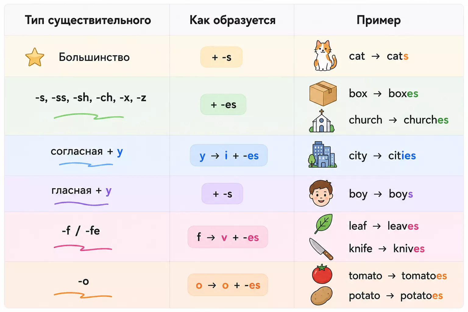 Правила множественного числа существительных для заданий 19–24 ЕГЭ.
