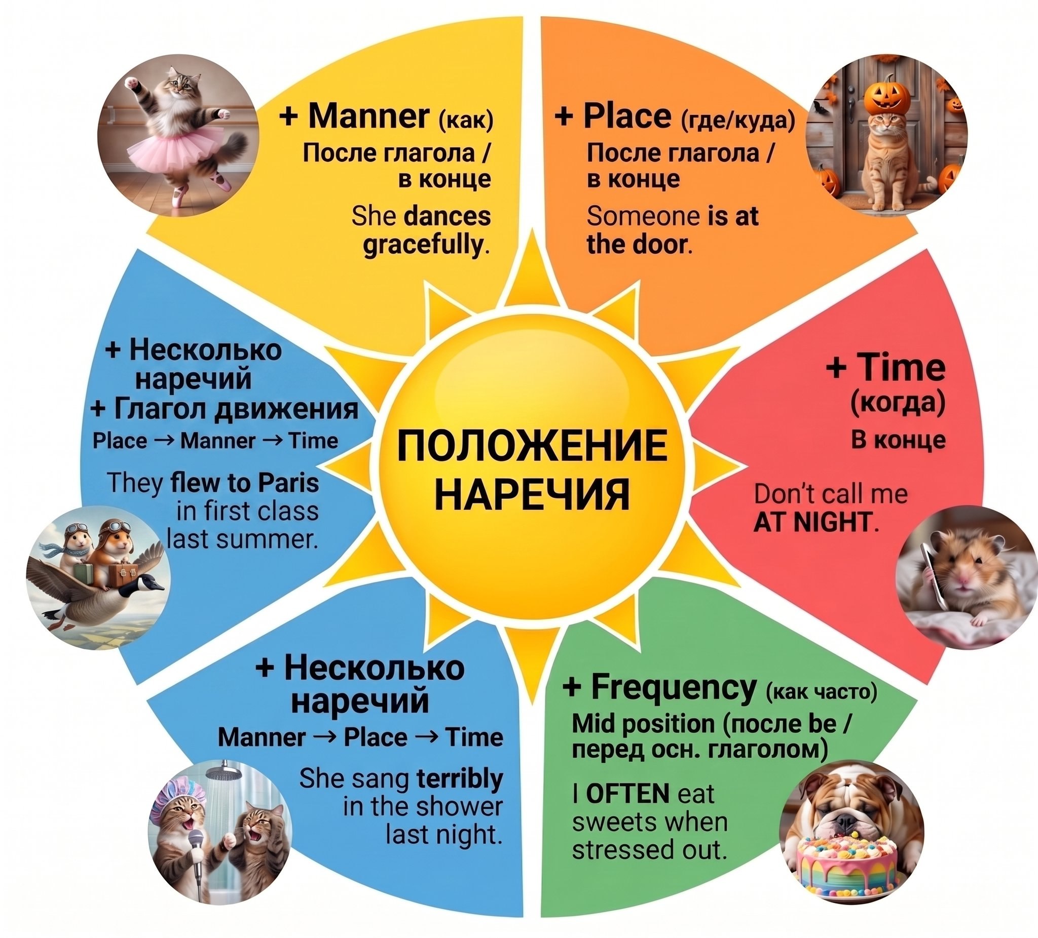 Памятка по порядку наречий в английском предложении для ЕГЭ.