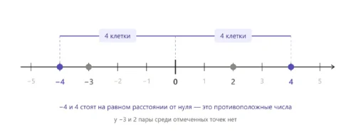 Точки -3, 4, -4 и 2 отмечены на координатной прямой для поиска противоположных чисел.