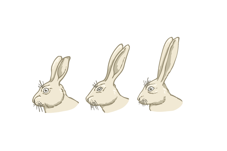 Правило Аллена