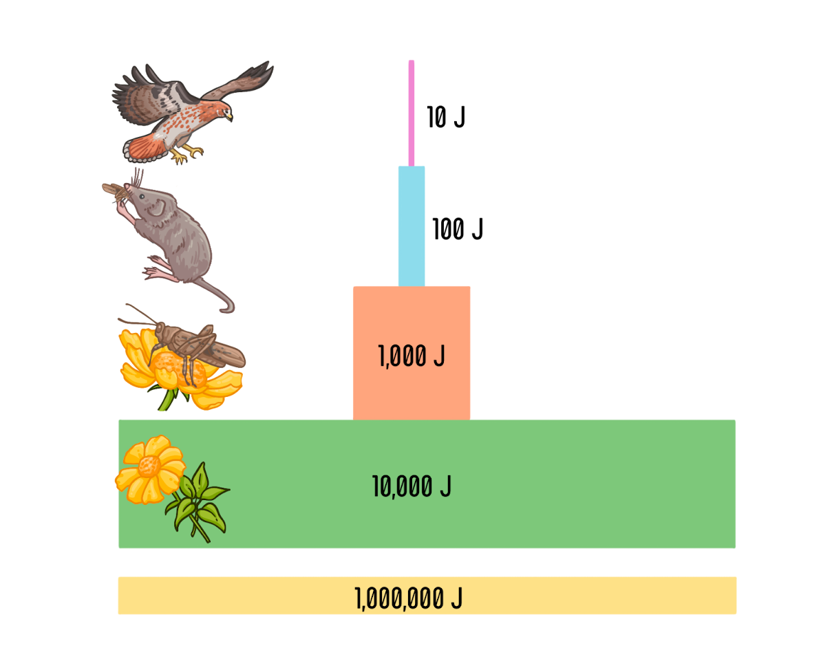 Правило Линдемана, или правило 10%