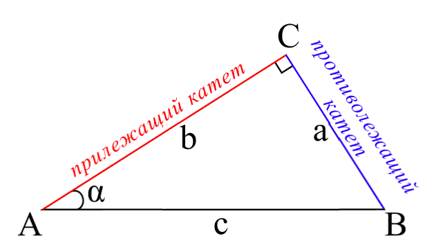 Прилежащий катет и противолежащий катет