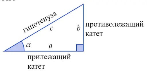 Прямоугольный треугольник