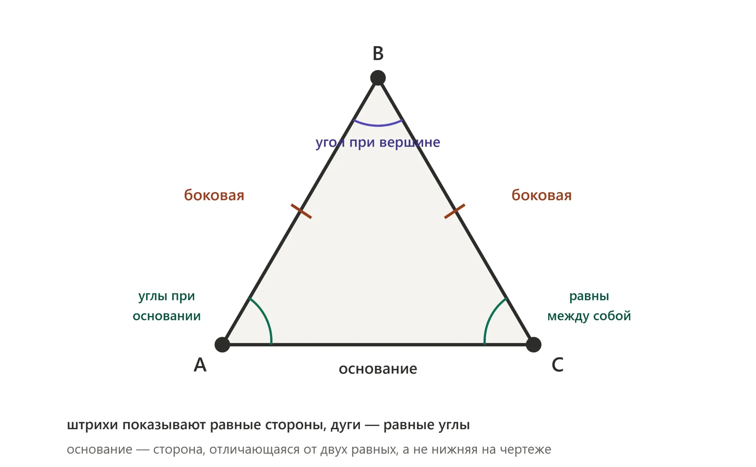 Равнобедренный треугольник с двумя равными боковыми сторонами и основанием.