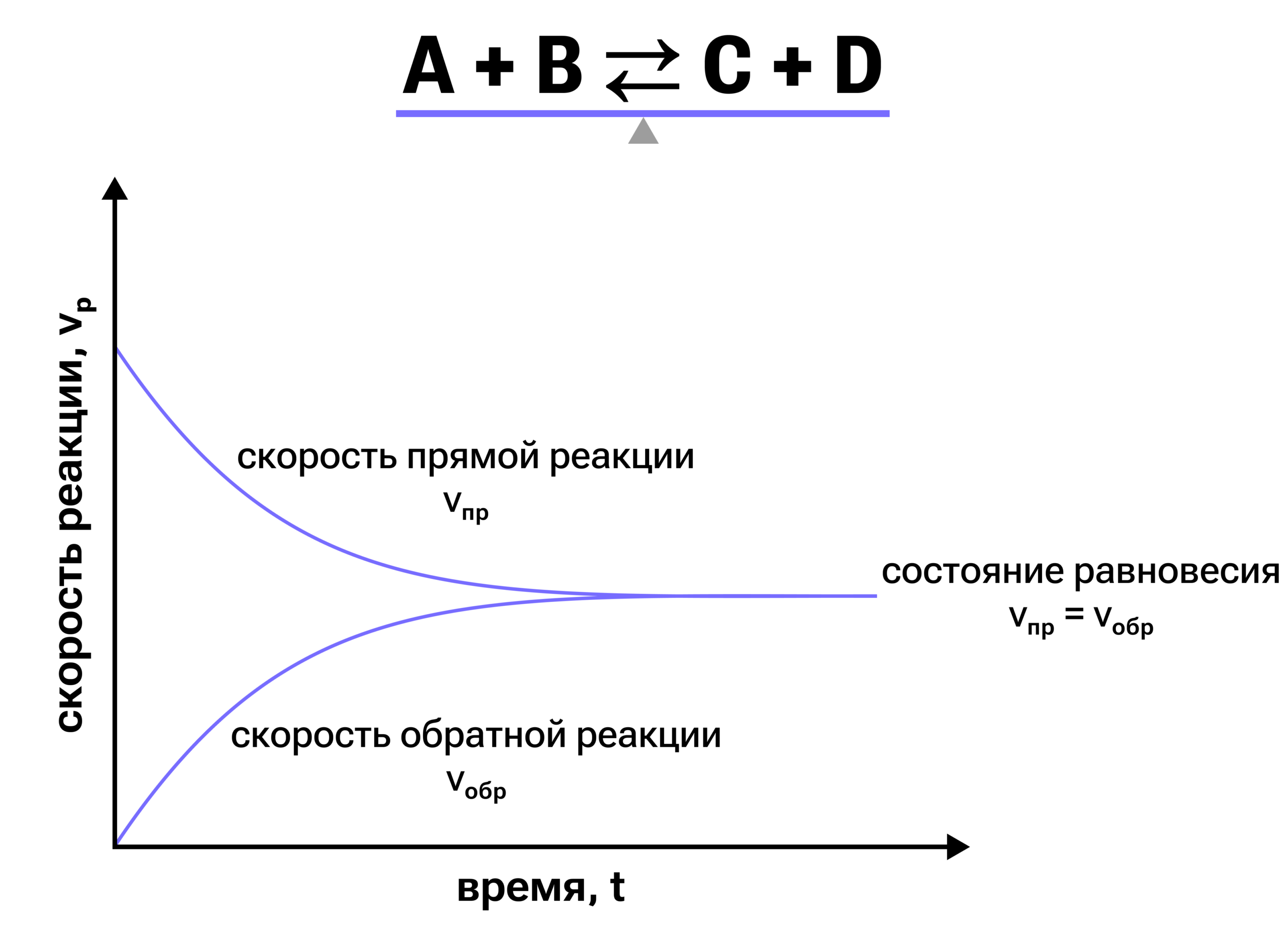 Равновесные концентрации
