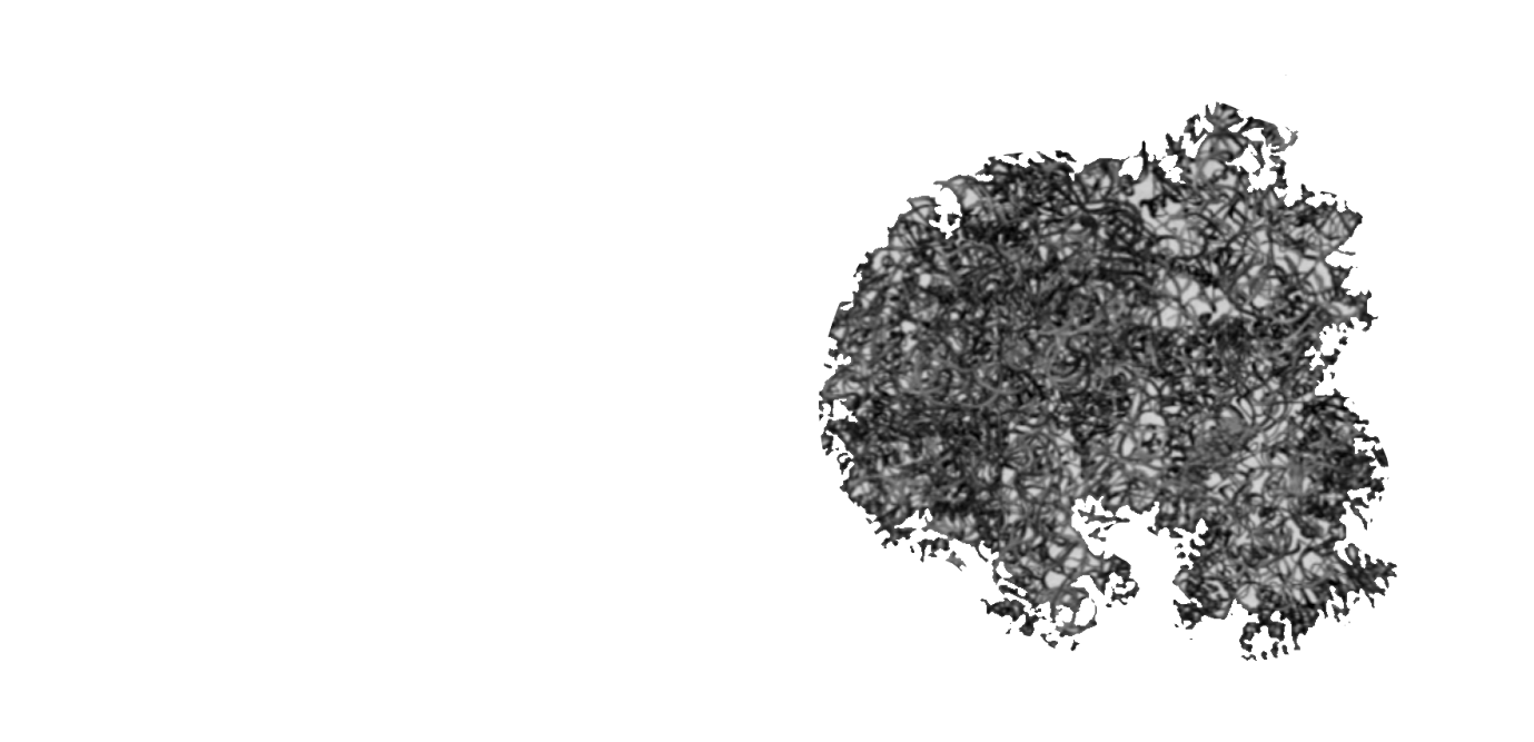 Рибосомальная РНК