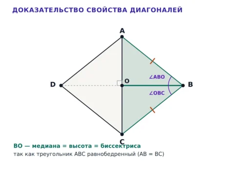 Диагонали ромба под прямым углом делят углы пополам в точке O.