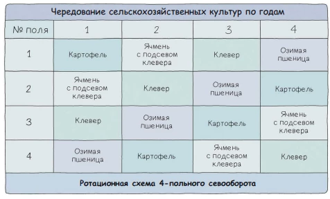 Схема севооборота сельскохозяйственных культур для сохранения плодородия почвы.