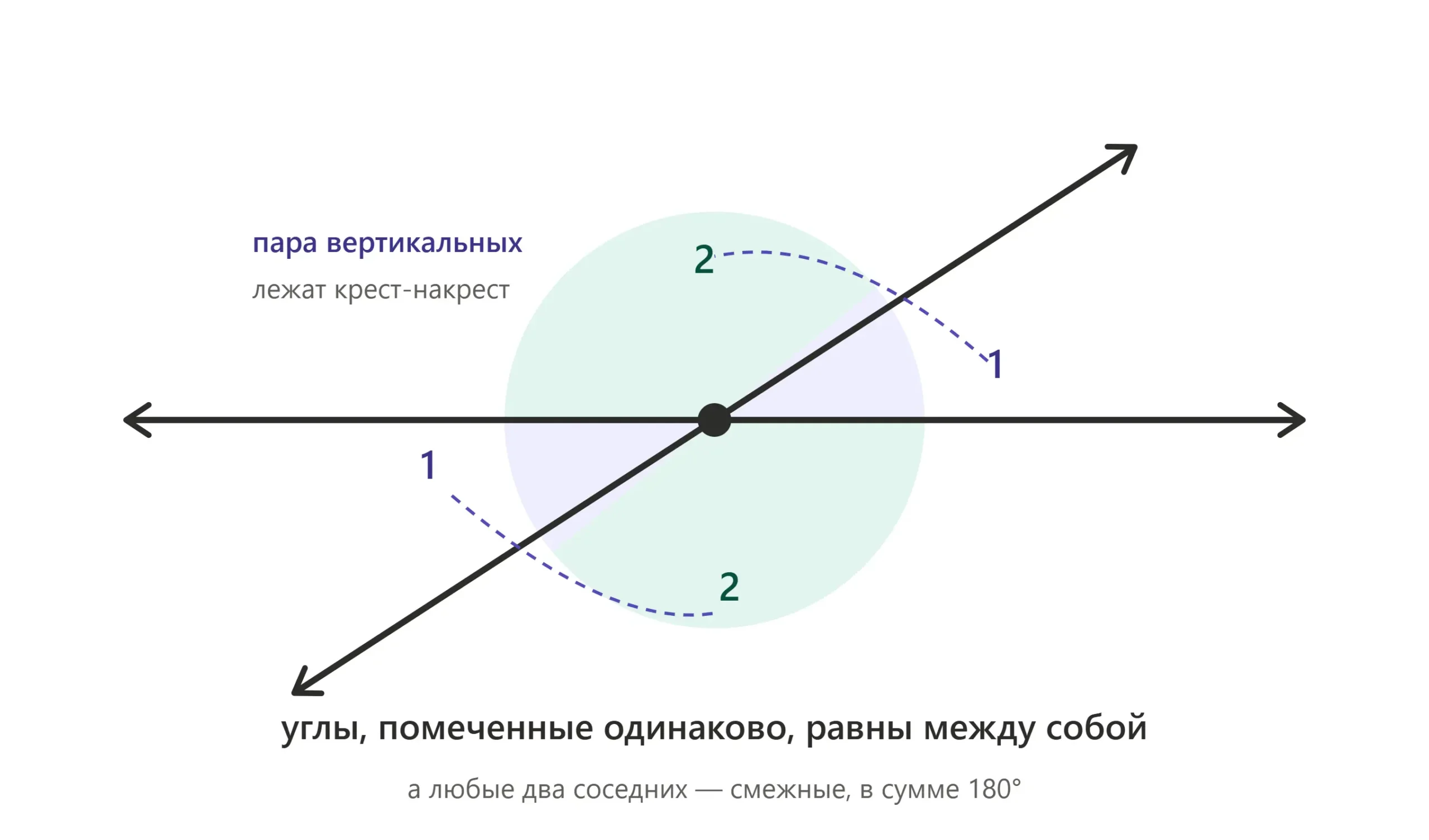 Вертикальные углы при пересечении двух прямых лежат напротив и равны между собой.