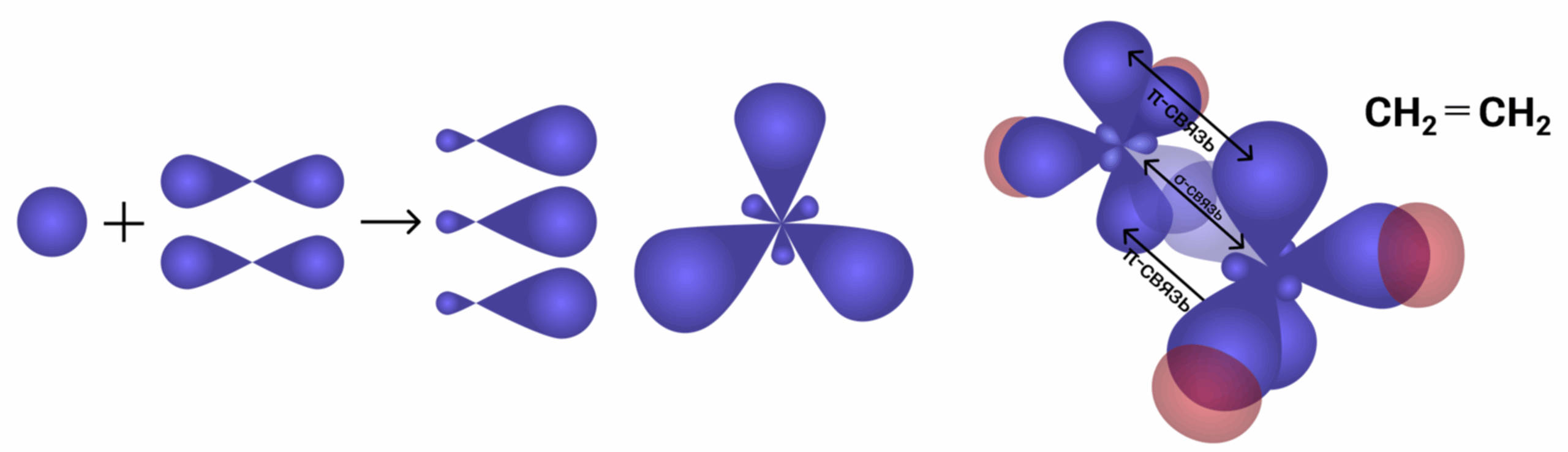 Sp-гибридизация