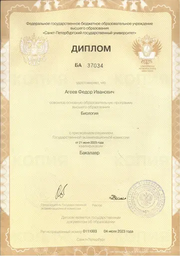 Диплом СПбГУ Фёдора Агеева