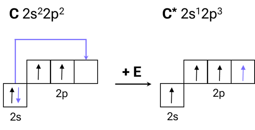 Строение атома углерода