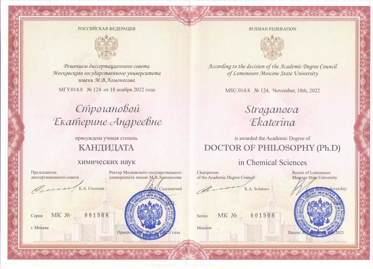 Диплом МГУ Кати Строгановой