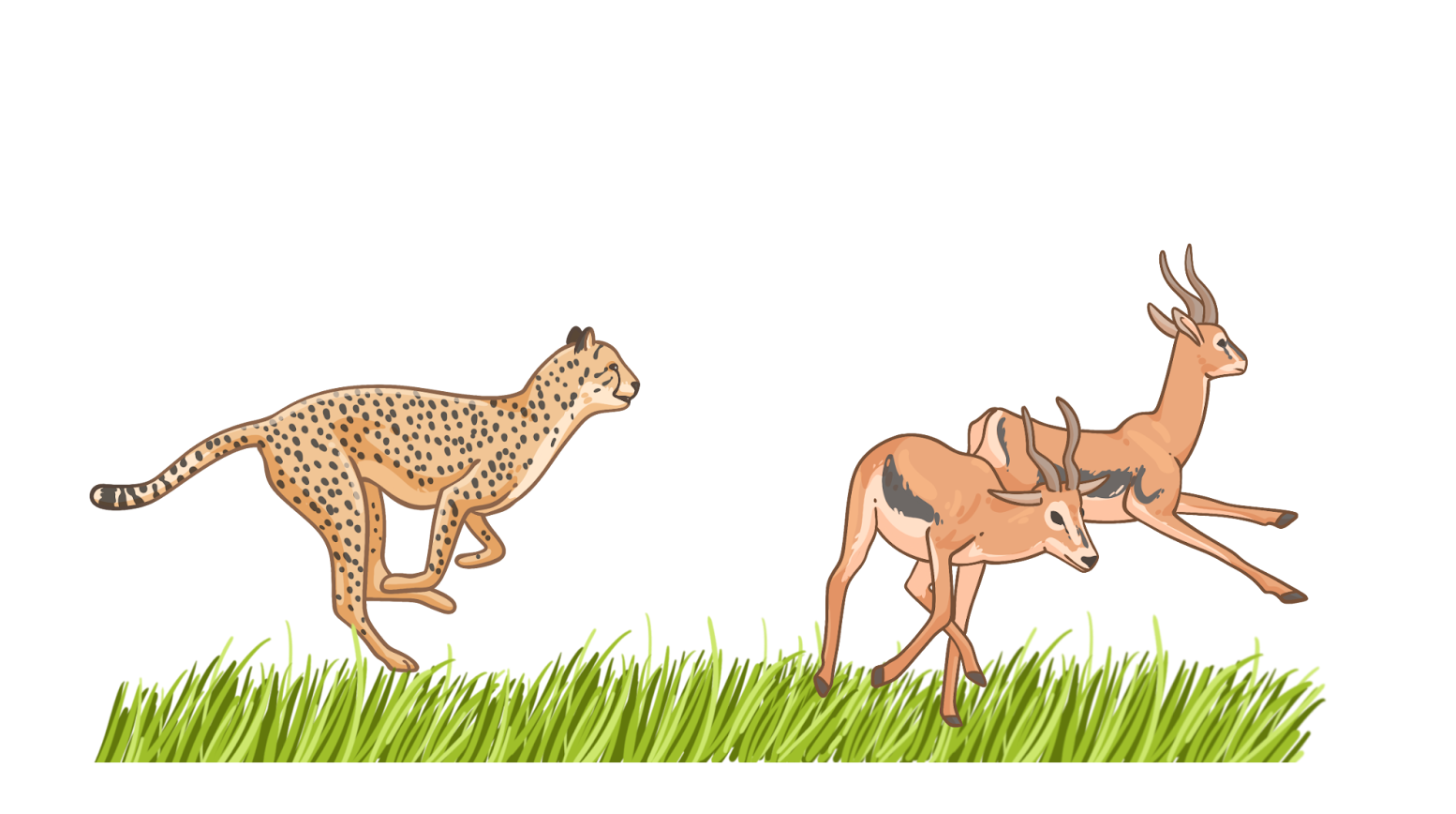 Связи между организмами в экосистеме (хищничество)