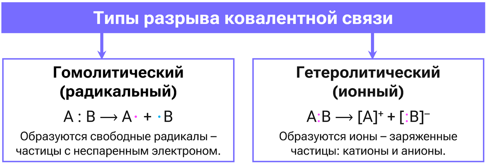 Типы разрыва ковалентной связи