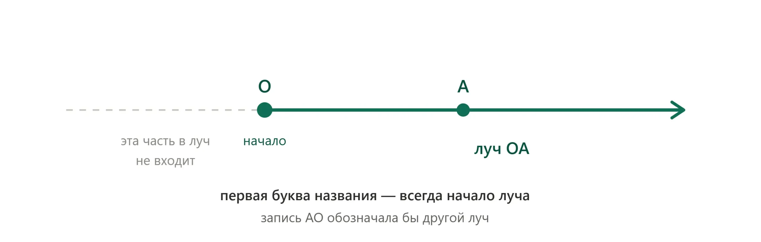 Геометрический луч с началом в точке и направлением в одну сторону.